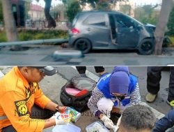 Mobil Brio Tabrak Pesepeda dan Tiang PJU di Depan Mapolda Jatim, Pengemudi Diamankan Polisi