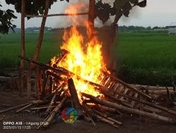 Polsek Sooko Bongkar dan Bakar Lapak Perjudian Sabung Ayam di Mojokerto