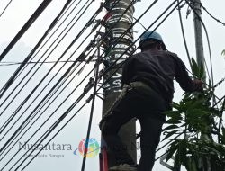 Laksanakan Penataan dan Pendataan Kabel Ilegal di Tiang PLN Sidoarjo, PLN Icon Plus Konsisten Jaga Keandalan Jaringan