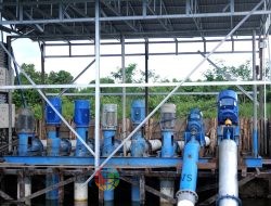 Dukung Tranformasi Pertanian Modern, Electrifying Agriculture PLN Raih 53.539 Pelanggan Baru di Tahun 2024