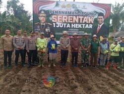 Penanaman Jagung Serentak di Bangli Dukung Ketahanan Pangan