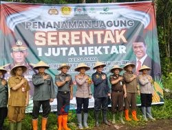 Dukung Swasembada Pangan, Perhutani Bondowoso dan Polres Bondowoso Gelar Penanaman Jagung Serentak