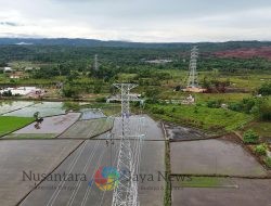Tahun Baru Gebrakan 100 Hari: Presiden Prabowo Resmikan 37 Proyek Listrik Nasional Menuju Pertumbuhan 8%