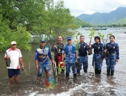 Jaga Pesisir Pantai utara Bali, Lanud I Gusti Ngurah Rai gelar Kegiatan Penanaman Seribu Bibit Mangrove