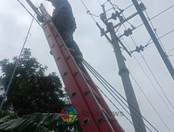 Langkah Proaktif PLN Icon Plus Tertibkan Kabel Ilegal di Tiang PLN Kota Surabaya Guna Estetika dan Keandalan Jaringan