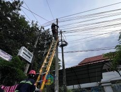 PLN Icon Plus Tertibkan Kabel Ilegal di Tiang PLN Kota Sidoarjo untuk Dukung Mandiri U-20 Challenge Series