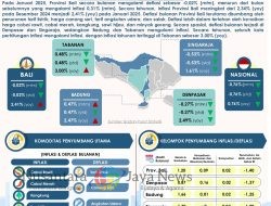 Inflansi Awal Tahun Terkendali Harga Pangan Tercatat Meningkat
