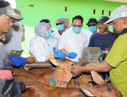Status Darurat PMK Diberlakukan di Jatim, Pj Gubernur Adhy Minta Tindakan Cepat dan Terpadu