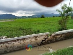 Plh.PPK BWS Wilayah Sumbawa, “Proyek Irigasi Amamaka Yang Jebol Segera di Perbaiki”
