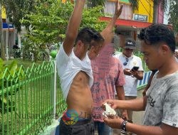 Diduga Bawa Sabu, Pria di Dompu Diamankan, Hasil Tes: Hanya Bumbu Penyedap