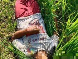 Penemuan Jenazah Pria Tanpa Identitas di Sawah Wonosari, Gresik