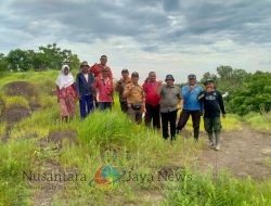 Perhutani Bondowoso Sidak Lokasi Reboisasi, Pastikan Keberhasilan Tanaman dan Perlindungan Lingkungan