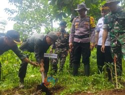 Perhutani Bondowoso Gelar Reboisasi di Curahdani, Perkuat Mitigasi Bencana Alam