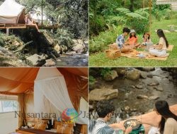 Pelaga Ecopark, Wisata Alam Pedesaan Yang Wajib di Kunjungi