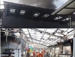 Kebakaran Laundry di Surabaya Diduga Berawal dari Mesin Pengering, 75 Persen Gedung Hangus