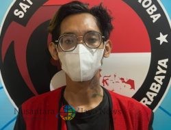 Polisi Gerebek Pemuda di Krembangan Surabaya, 13 Pohon Ganja Disita