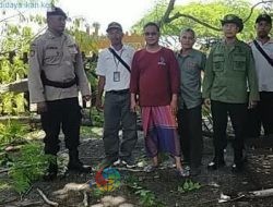LINDUNGI PENGUNJUNG WISATA, PERHUTANI BONDOWOSO LAKUKAN PEREMPESAN & PEMANGKASAN POHON DI BEACH FOREST