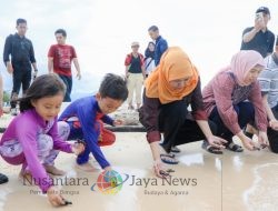 Bersama Keluarga, Gubernur Khofifah Lepas Puluhan Tukik di Banyuwangi