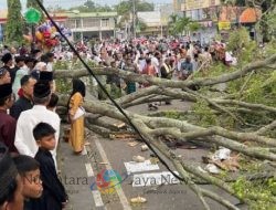 Korban Tewas Akibat Pohon Tumbang di Alun-Alun Pemalang Bertambah Jadi Tiga Orang