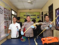 Empat Remaja Diamankan Polres Pelabuhan Tanjung Perak Usai Tawuran, Temukan Sajam hingga Busur Panah