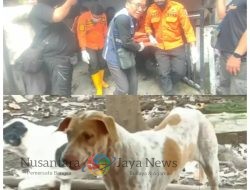 Pria Paruh Baya di Surabaya Ditemukan Tewas Mengenaskan Diduga Diterkam Anjing Peliharaan Sendiri