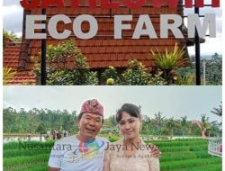 Jatiluwih Eco Farm Tawarkan Konsep Back To Nature, Panen Lebah Hingga Buat Minyak Tanusan