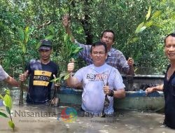 Upaya Jaga Lingkungan, Boby Lovers Sumut Tanam Magrove Dalam Peringati Hari Bumi