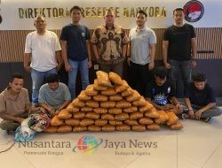 Polisi Gagalkan Peredaran 47 Kg Ganja di Sumbar, 4 Tersangka Ditangkap
