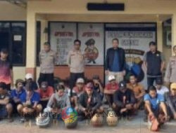 Polsek Ujungpangkah Gerebek Lokasi Judi Sabung Ayam, 17 Orang Diamankan