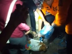 Petugas Gabungan Evakuasi 9 Anjing yang Ditinggal Pemiliknya Meninggal di Rungkut