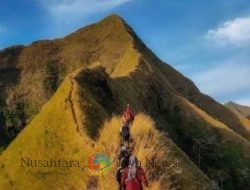 Tragedi Pendaki Gunung Saeng, Perhutani Larang Pendakian ke Tiga Gunung di Lereng Argopuro