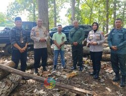 Kasubdit Polsus Polda Jatim Kunjungi Perhutani Bondowoso: Apresiasi Sistem Lacak Balak dalam Upaya Pemberantasan Illegal Logging