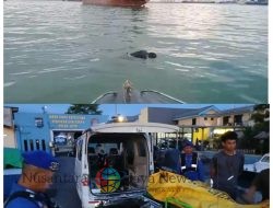 Polairud Polda Jatim Ungkap Ciri-Ciri Jenazah Misterius Ditemukan di Perairan Tanjung Perak Surabaya
