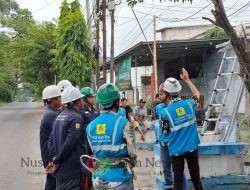 PLN Icon Plus Optimalkan Infrastruktur Digital Melalui Penertiban Kabel di Wilayah Probolinggo