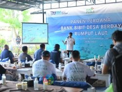 Hari Lingkungan Hidup, Dari Pesisir Nusa Lembongan, PLN Bangun Kemandirian Ekonomi Melalui Rumput Laut