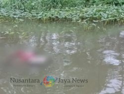 Lansia Pencari Eceng Gondok yang Dilaporkan Hilang Ditemukan Meninggal Dunia di Sungai Gunung Sari Surabaya