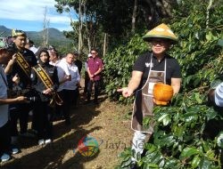 Wamen BUMN Tinjau PMO Kopi & Kakao Nusantara Perhutani di Bondowoso, Dukung Pembangunan dari Desa Sesuai Asta Cita Presiden Prabowo