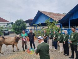 INI – IPPAT – BPN Kota Surakarta Gelar Aksi Qurban 2025 di RPH Jagalan