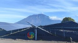 Semarak Hari Pancasila, EVP MKJ PT PLN (Persero) dan GM PT PLN (Persero) UIP JBTB Tinjau Pembangunan PLTS Bali Timur