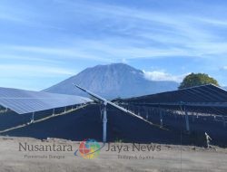 Semarak Hari Pancasila, EVP MKJ PT PLN (Persero) dan GM PT PLN (Persero) UIP JBTB Tinjau Pembangunan PLTS Bali Timur