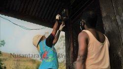 Momen Hari Lahir Pancasila, PLN Laksanakan RUPS Hari Ini, Catat Kinerja Positif Pendapatan Tembus 545 Triliun!