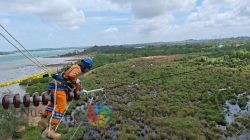 PLN Setor Rp65,59 Triliun Lewat Dividen, Pajak, dan PNBP
