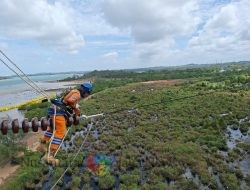 Wujud Kontribusi ke Negara, PLN Setor Rp65,59 Triliun Lewat Dividen, Pajak, dan PNBP, Listrik untuk Rakyat