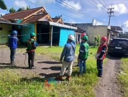 Perkuat Kolaborasi di Banyuwangi, PLN Icon Plus Intensifkan Penataan Jaringan Fiber Optik demi Infrastruktur yang Tertib dan Andal