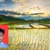 Pertanian Presisi: Kunci Mengurangi Kerugian Pasca Panen di Indonesia