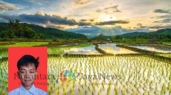 Pertanian Presisi: Kunci Mengurangi Kerugian Pasca Panen di Indonesia