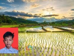 Pertanian Presisi: Kunci Mengurangi Kerugian Pasca Panen di Indonesia