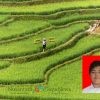 Pengembangan Sumber Daya Manusia dalam Sektor Agribisnis