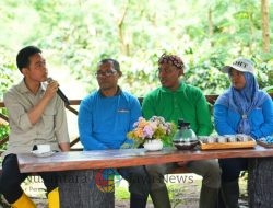 Wapres Gibran Kunjungi Perkebunan Kopi Ijen Kalisat Bondowoso, Dorong Produktivitas dan Kesejahteraan Petani Rakyat
