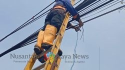 Sinergi PLN Icon Plus dan Pemkot Surabaya Optimalkan Penataan Kabel Udara, Jaga Keandalan Infrastruktur dan Estetika Kota
